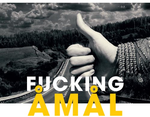 Fucking Åmål - billede